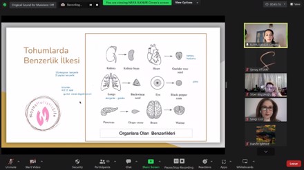 Online Webinar-Tamamlayıcı ve Alternatif Tedavilerin Yeni Gözdesi: Su Jok Terapi 